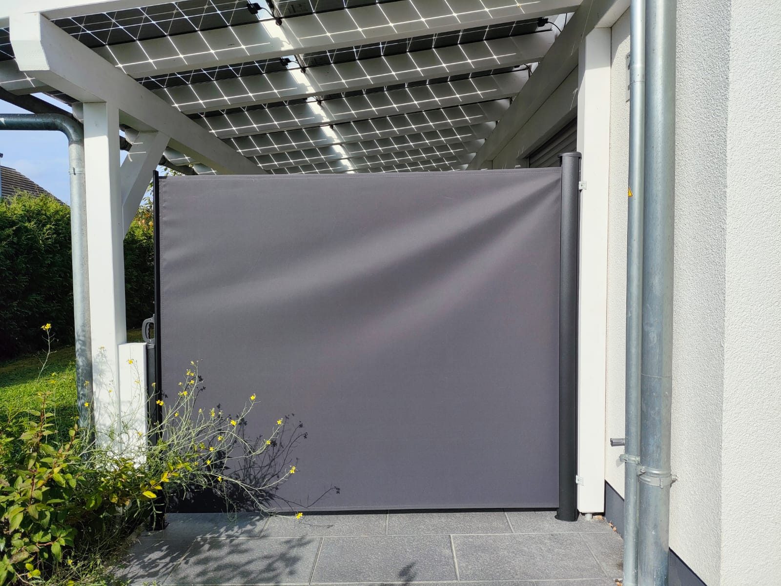 WhatsApp Bild 2024-09-21 um 09.41.20_86e403eb